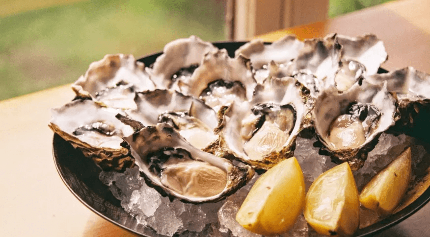 Oysters sold in São Paulo and Santa Catarina contain toxic bacteria and metals, study says