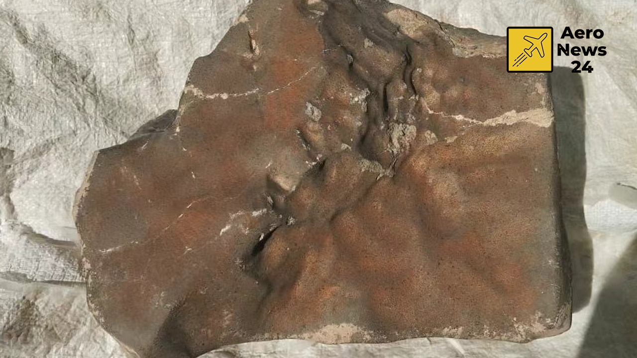 El meteorito más grande de Marte se vendió por 5,3 millones de dólares