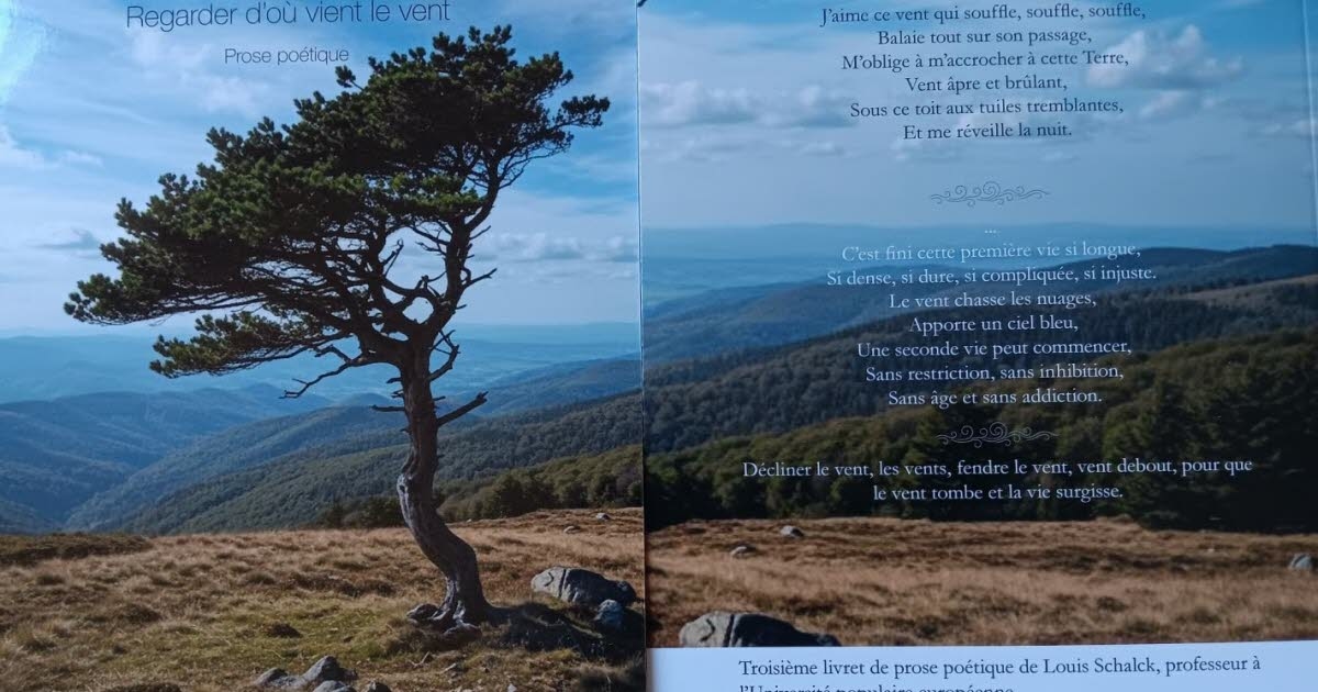 Veröffentlichung. Den Wind poetisch beobachten: eine neue Kollektion von Louis Schalck