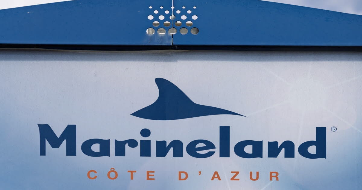 Alpes Marítimos. Marineland: Un vídeo genera preocupación y reaviva la polémica sobre el destino de las orcas