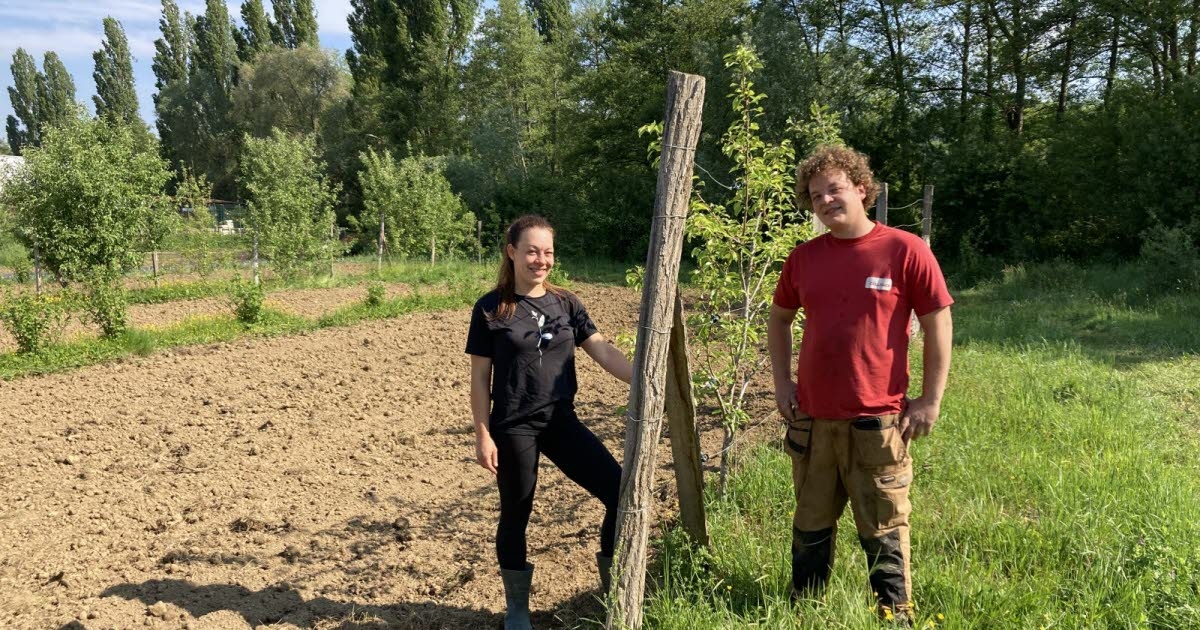 Hirsingue. Hermanos y hortelanos apoyan un proyecto de huerto compartido en la rue des Prés