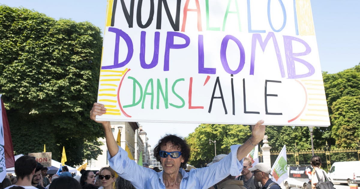 Landbouw. Duplomb-wet: petitie tegen het wetsvoorstel geeft milieuactivisten hoop