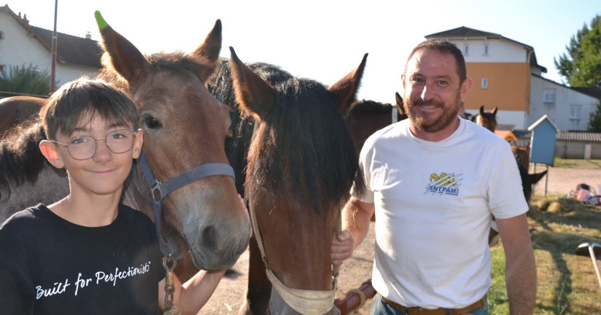 Pond-sur-Arroux. Nostalgic for old-fashioned farming, Jérôme Girardon takes part in the Auxois draft horse competition