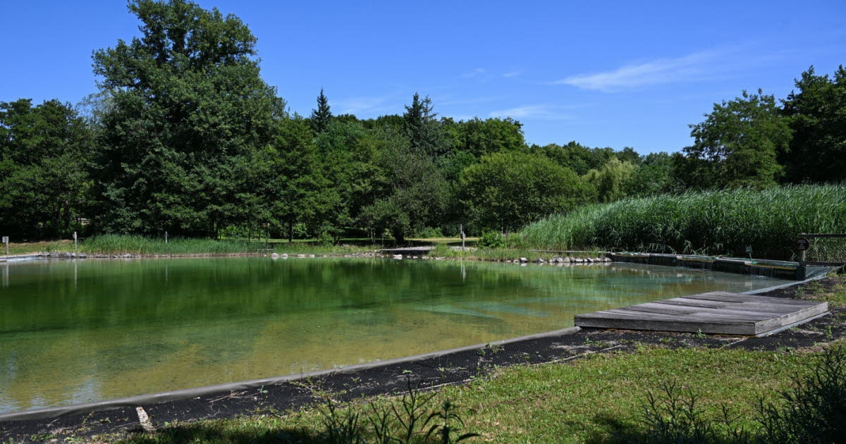 La Chapelle-Saint-Sauveur. La baignade naturelle rouvre ce samedi