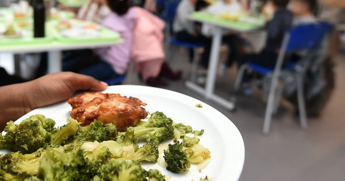Frangy-en-Bresse. Escuela, obras: los temas clave del verano se debatieron en el consejo municipal.