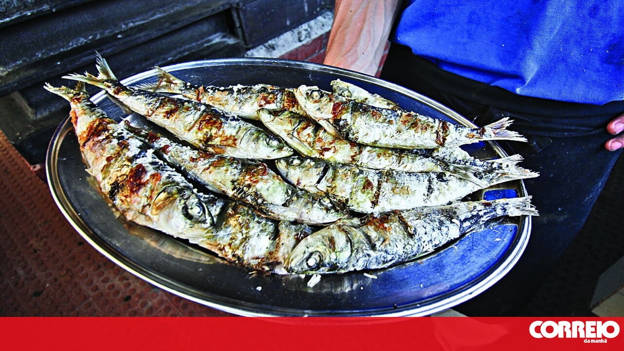 <![CDATA[ Sardinha "boa e gordinha" atinge preços máximos pelos Santos Populares ]]>