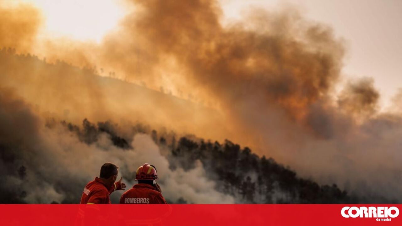 <![CDATA[ Mais de 80 concelhos em perigo máximo de incêndio ]]>