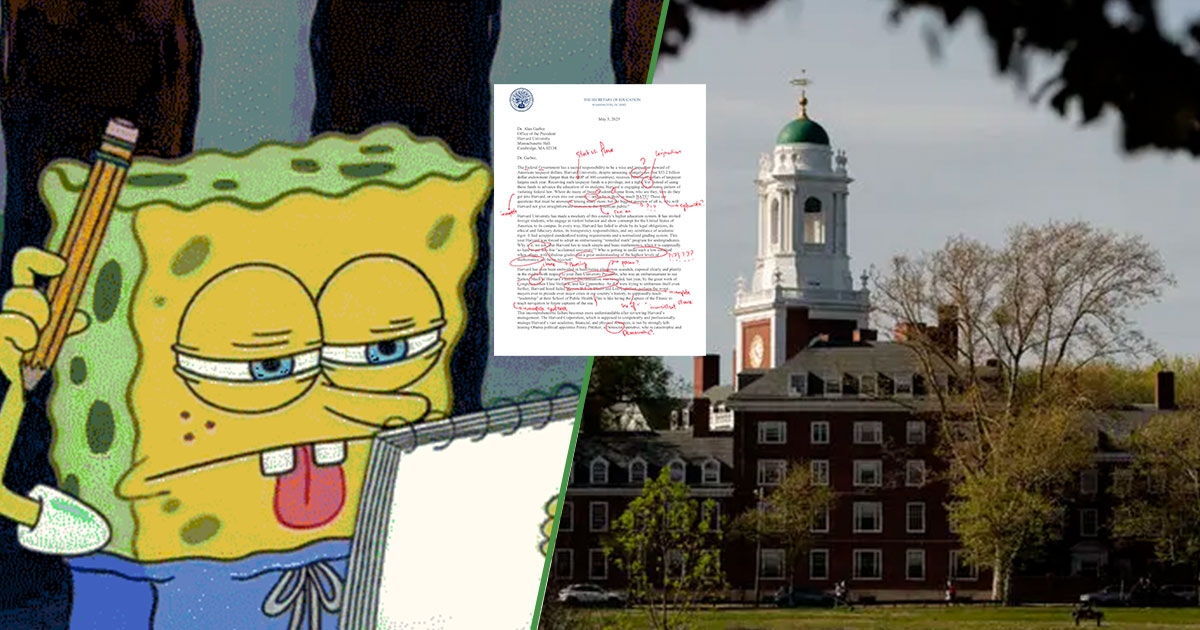 Milli Eğitim Bakanlığı Harvard'a bir mektup gönderiyor ve mektup yazım hatalarıyla dolu.