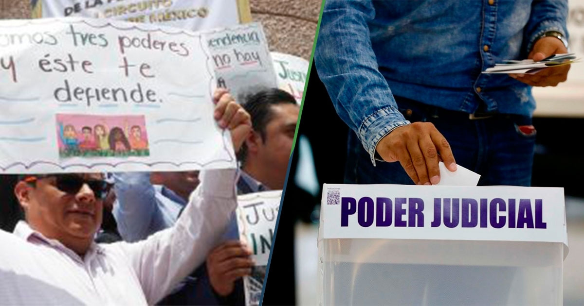 “No votar también es democracia”, asegura experto que aprendió política en memes