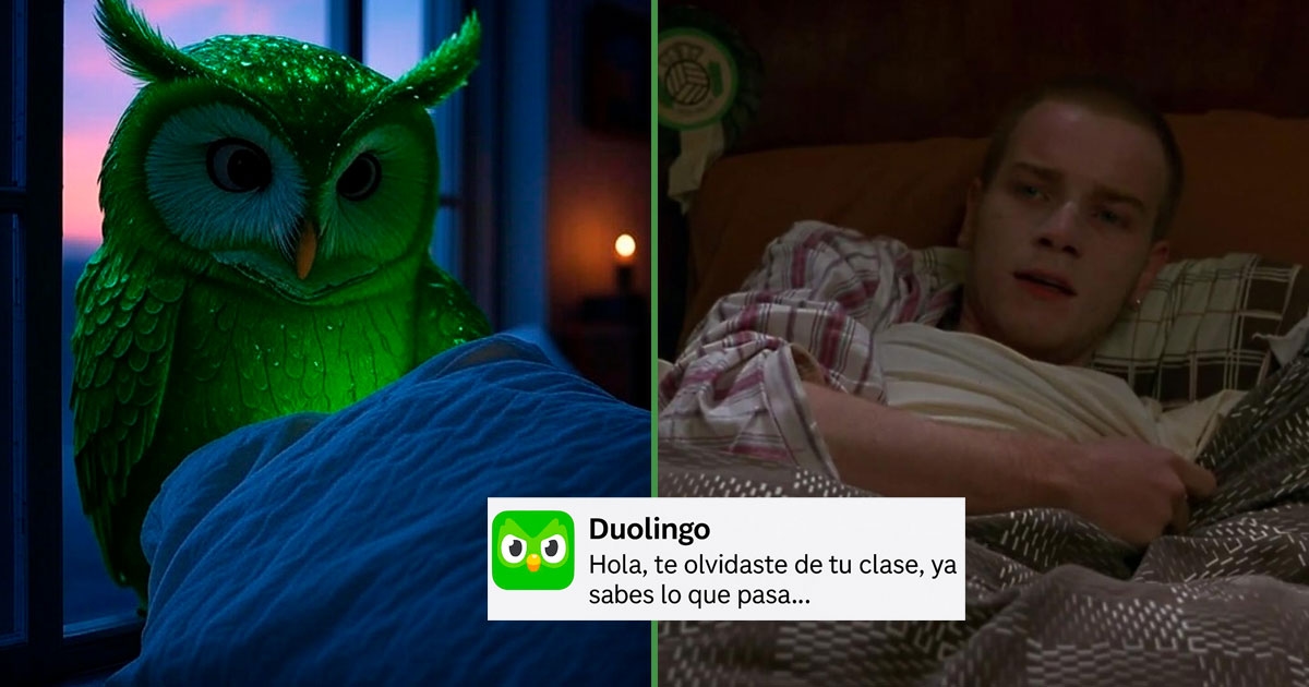 “Duo visits me in my dreams”: Users report nocturnal appearances of the green owl after three days without practicing
