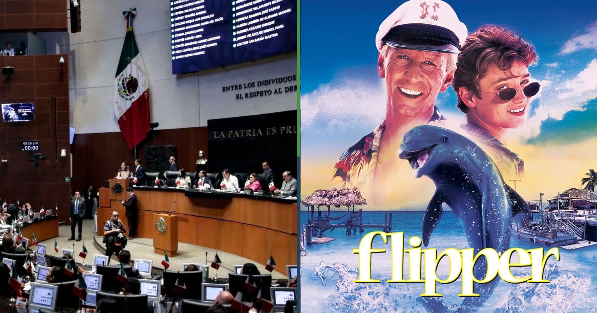 Senaat beveelt inbeslagname van alle Flipper VHS- en dvd-films