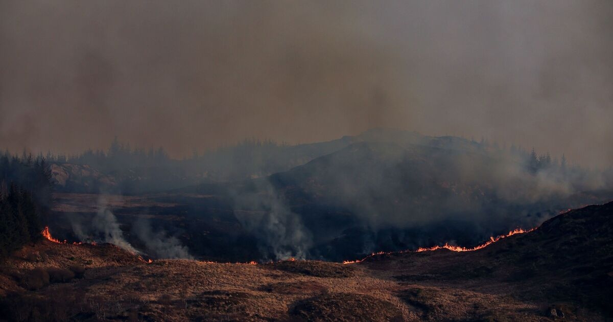 Gran parte del Reino Unido bajo alerta de incendio forestal de "muy alto peligro": "Se recomienda extremar las precauciones"