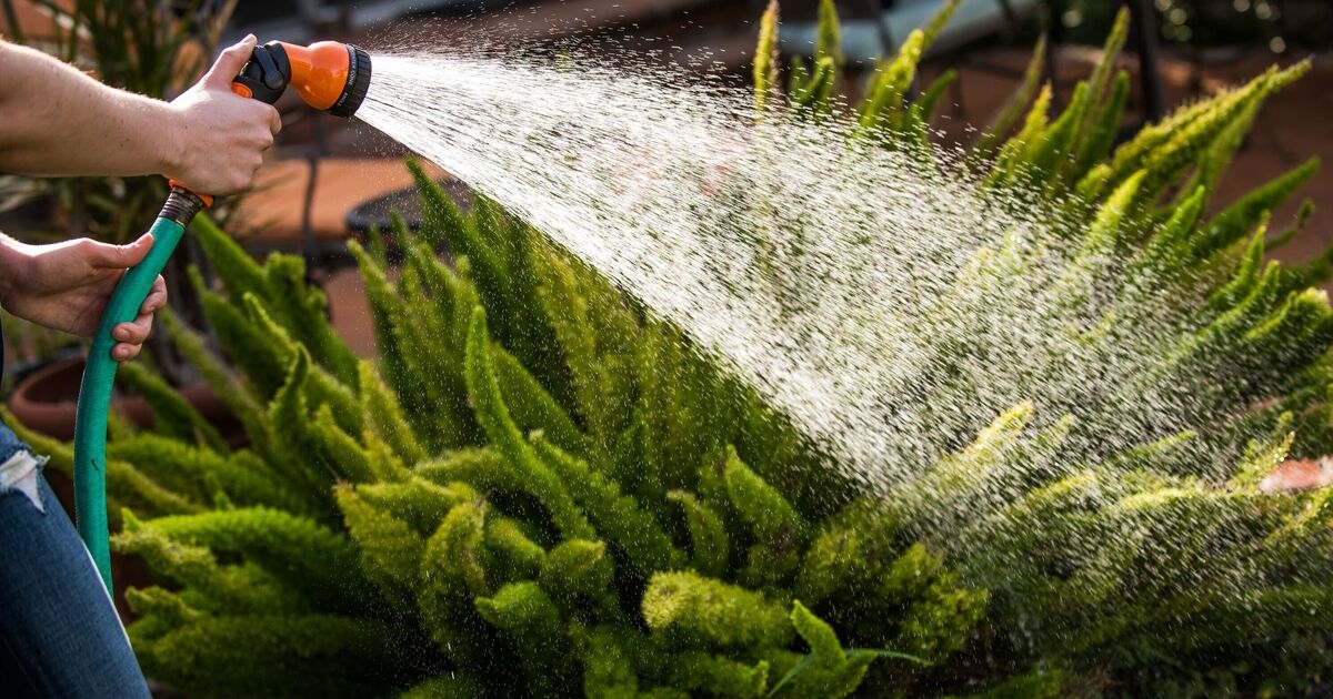 Yorkshire water announces hosepipe ban after hot weather - full list of banned activities