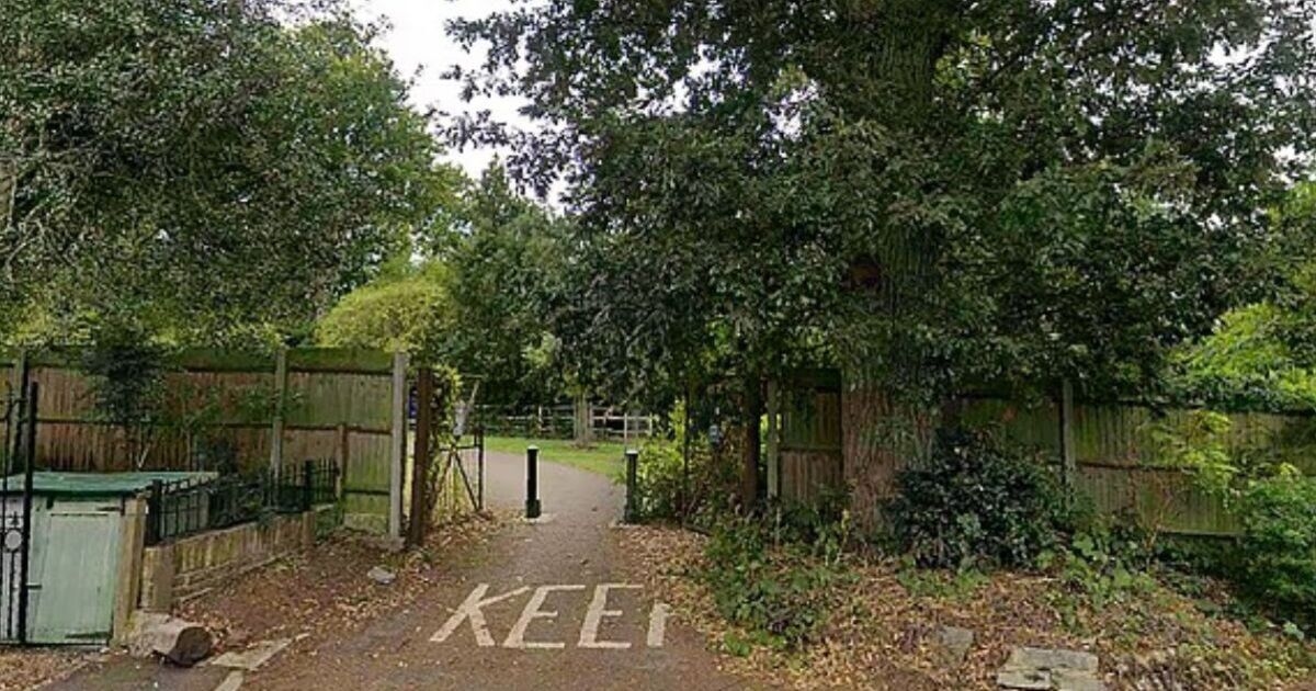 Cuatro hombres arrestados después de que una adolescente fuera drogada y violada en un parque de Londres.