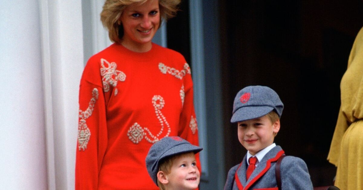 The 'real reason' Prince Harry and Prince William went to McDonald's as children