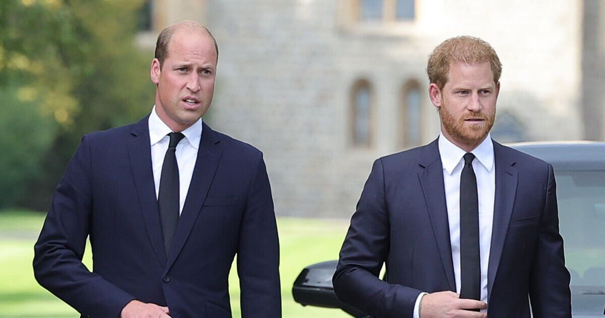 Prens William, Sussex'lerin 'intikam arayışını' durdurmak için Harry'yi 'soğuktan içeri' getirmeli