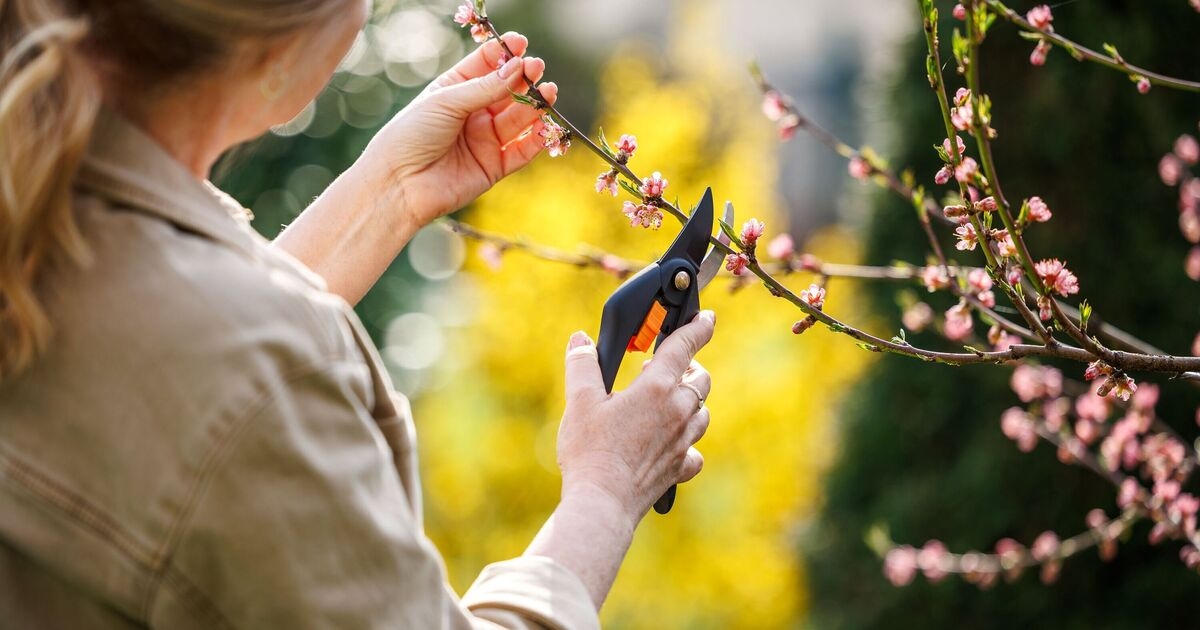 Over 40s women tackle menopause with new hobbies from gardening to dance, study reveals
