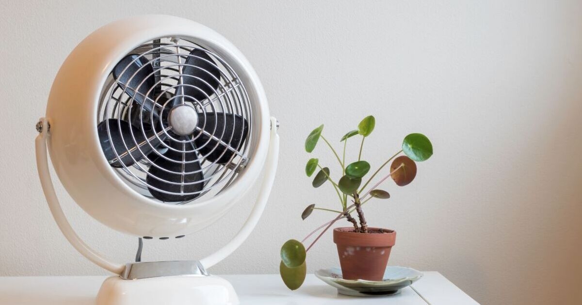 Experte verrät, warum man einen Ventilator nicht über Nacht laufen lassen sollte