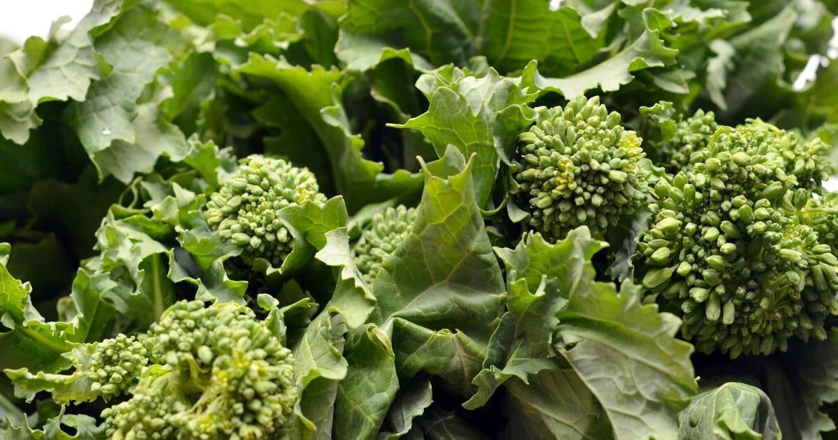 Ajouter un légume vert à votre alimentation peut réduire les risques de cancer et de diabète