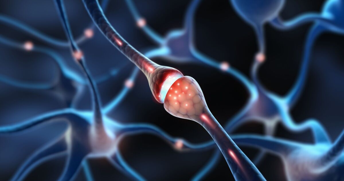 L'intelligence artificielle offre un nouvel espoir en déverrouillant des données complexes pour la rupture du traitement de la SLA