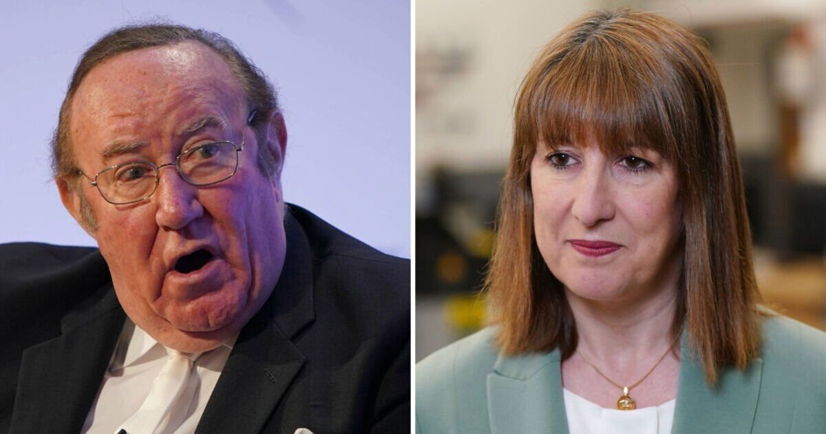 Andrew Neil valt Rachel Reeves aan vanwege het 'uitkramen van onzin' in woedende tirade