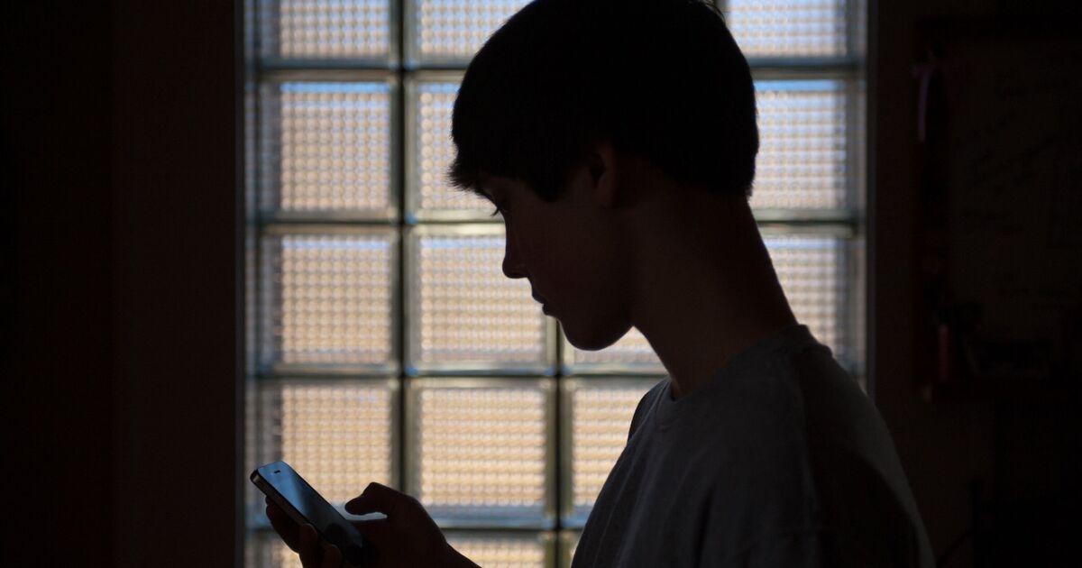 İngilizler, çocukları yetişkinlere yönelik web sitelerinden uzak tutacak kuralların işe yaramayacağını söylüyor