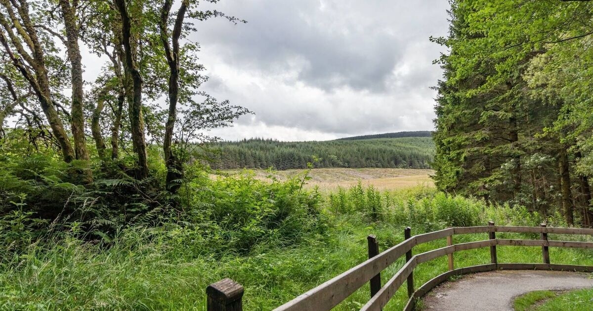 'UK's most beautiful walking spot' has enchanting views and stunning waterfalls