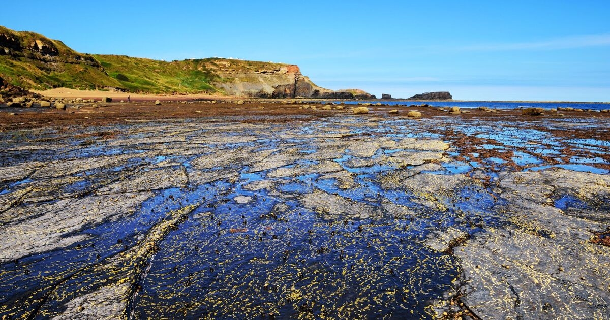 Wunderschöner Strand, an dem einst Dinosaurier wandelten, liegt direkt neben einer berühmten Stadt