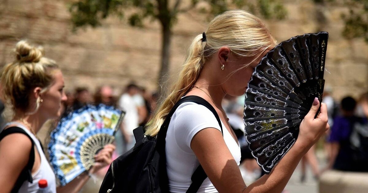 Guia turístico fica perplexo com turistas britânicos: 'Por que eles vêm e vão à praia?'
