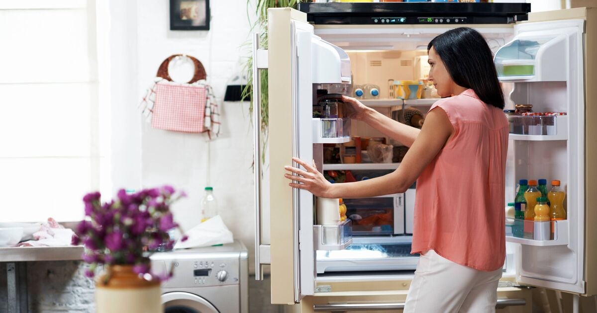 Simple fridge trick could save you up to £534 off your energy bills in just two minutes