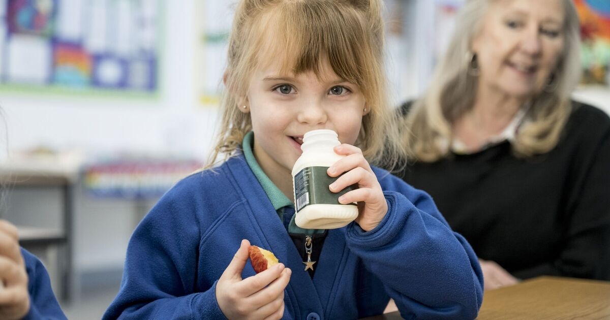 New free school breakfast clubs - what you need to know