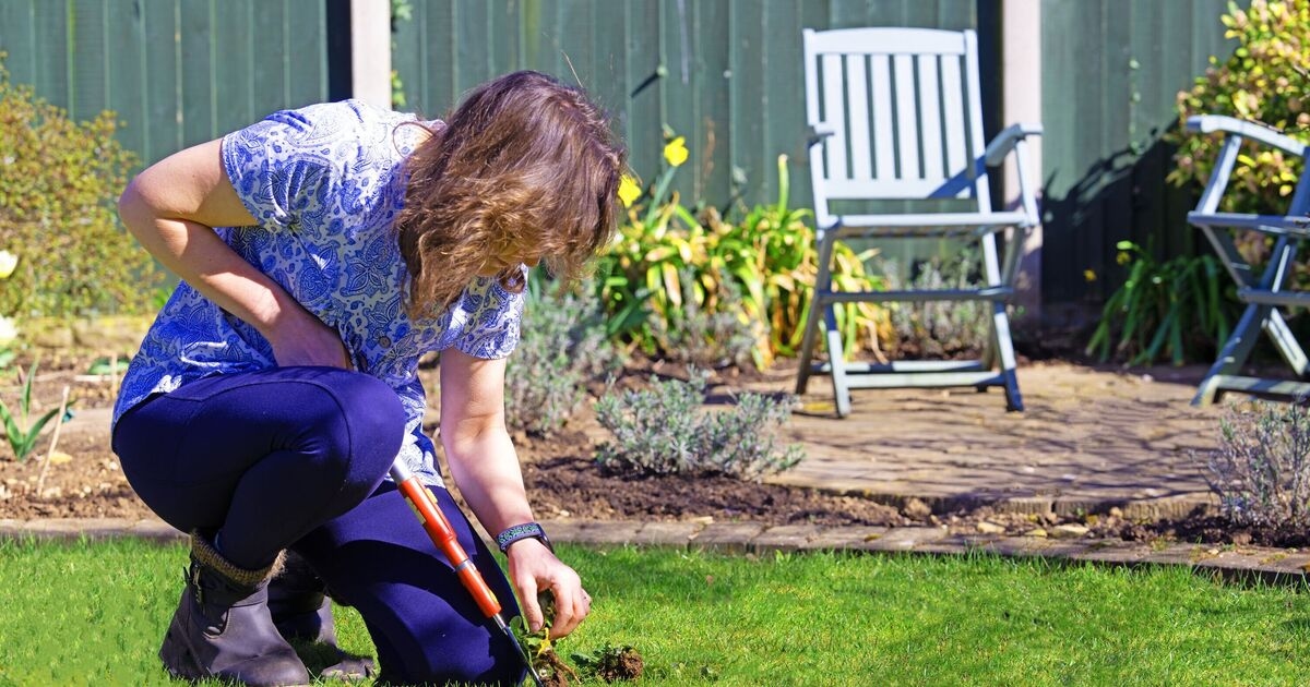 Chiunque abbia un giardino nel Regno Unito è invitato ad agire per un potenziale aumento di £ 53.000