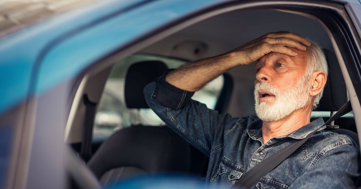 Campaigners demand older drivers face health tests every three years in new crackdown