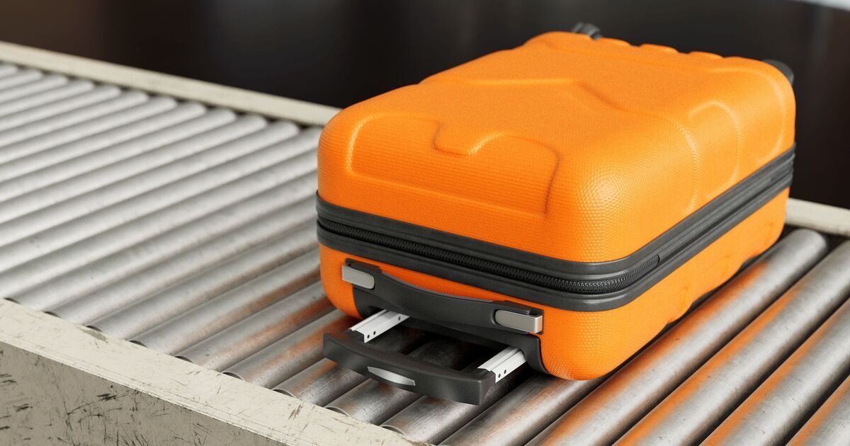 Luggage handler warns flight passengers to never pack 1 item