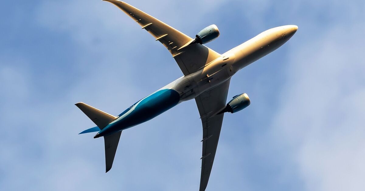 People with hay fever and allergies issued message over common condition on plane