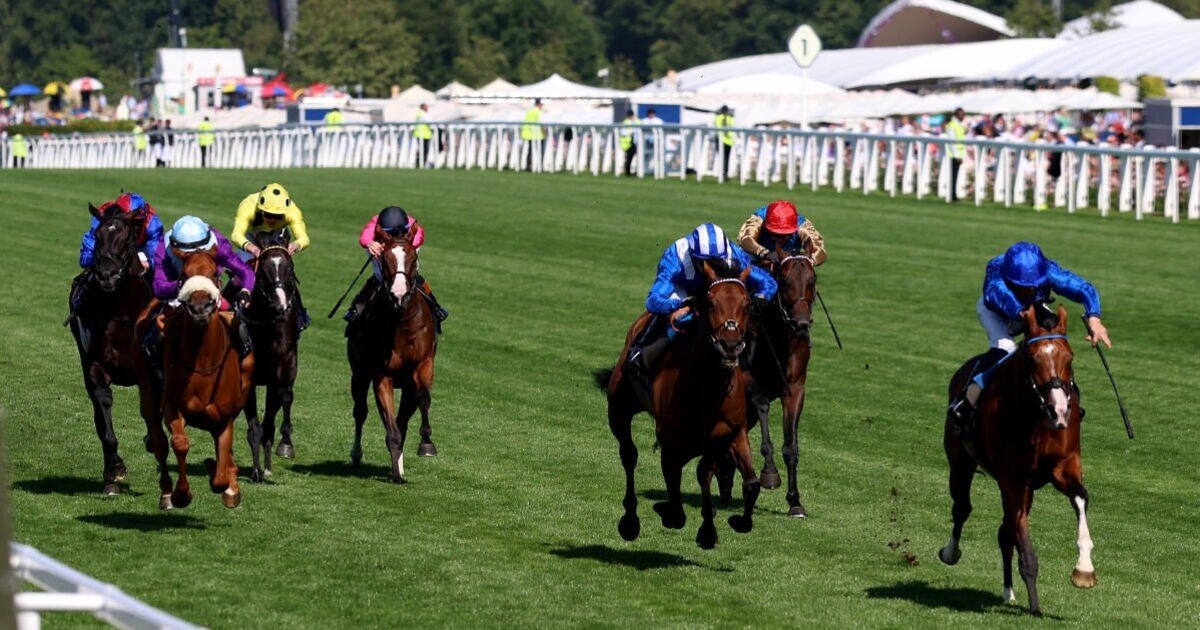 Результаты Royal Ascot в прямом эфире: советы и карты скачек на женский день с приближением Золотого кубка