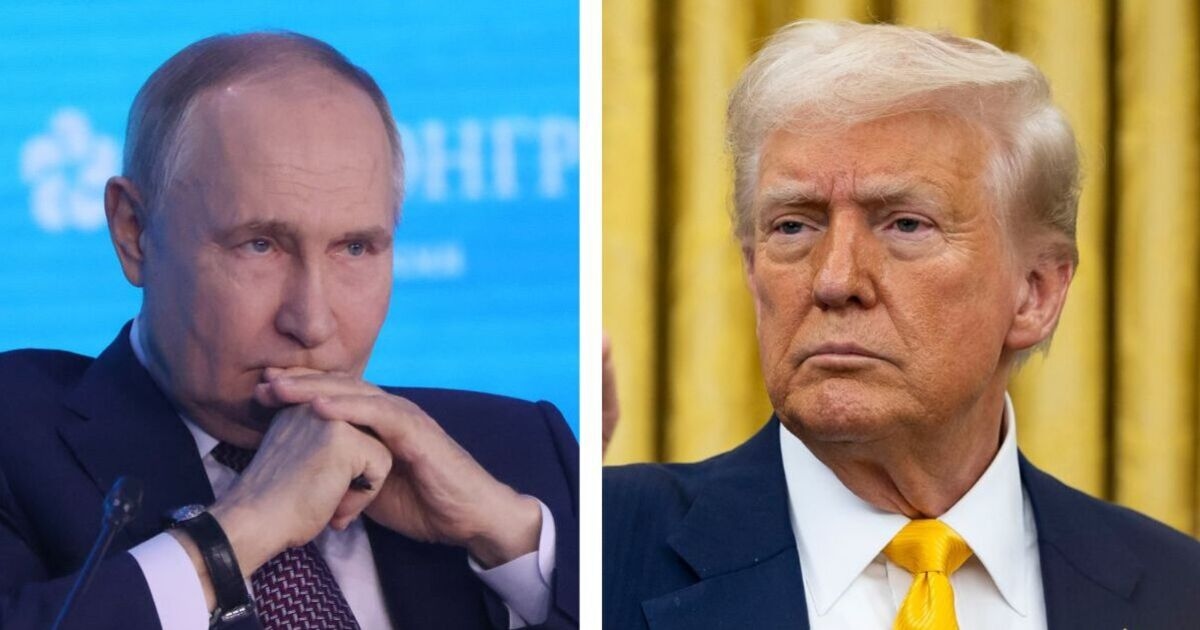 Vladimir Putin potrebbe sfidare la pace di Donald Trump e "prendere tutta l'Ucraina" entro cinque anni