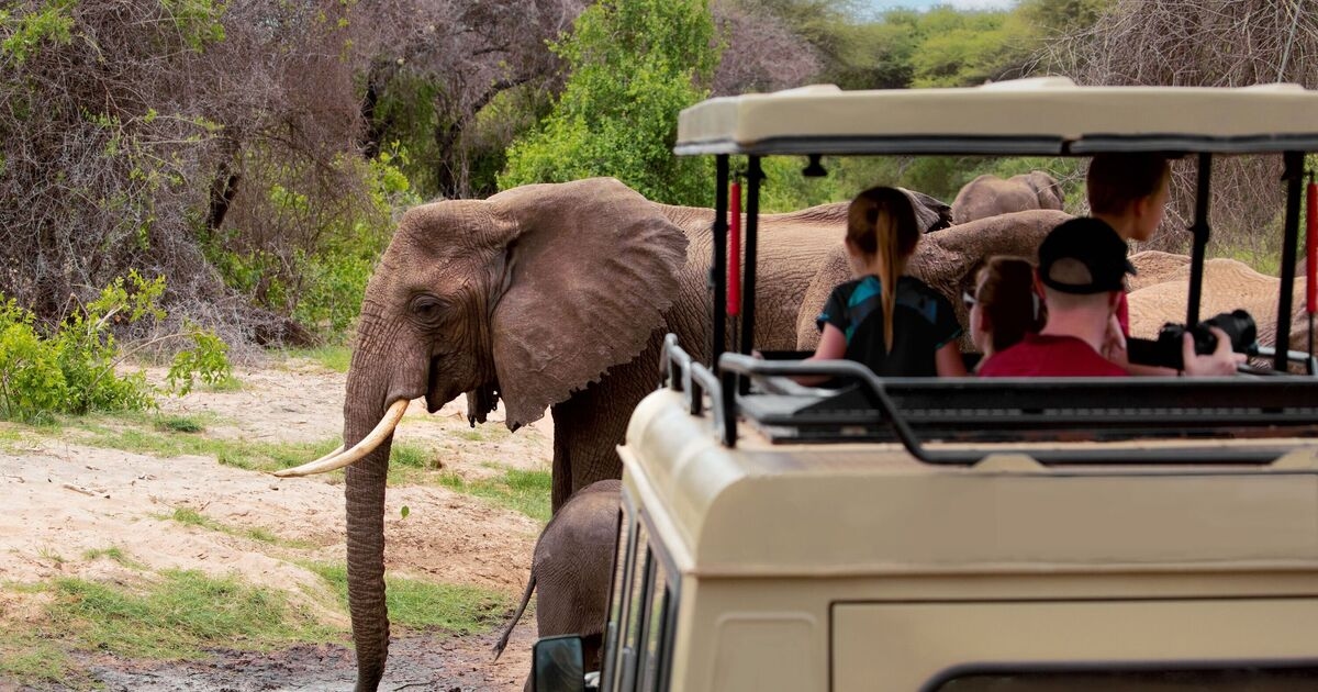 Il "miglior" safari dell'Africa con animali "rari" e paesaggi "mozzafiato"