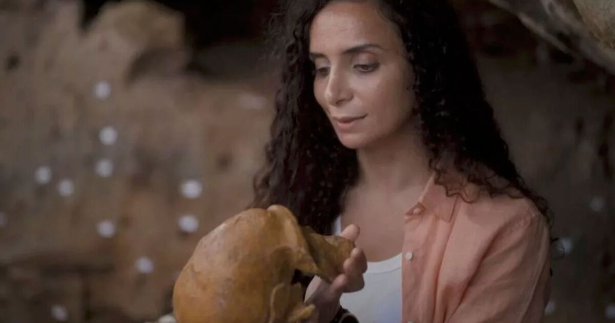 Apresentadora da BBC abandonou casamento arranjado e hijab para se tornar estrela de TV e próxima Attenborough