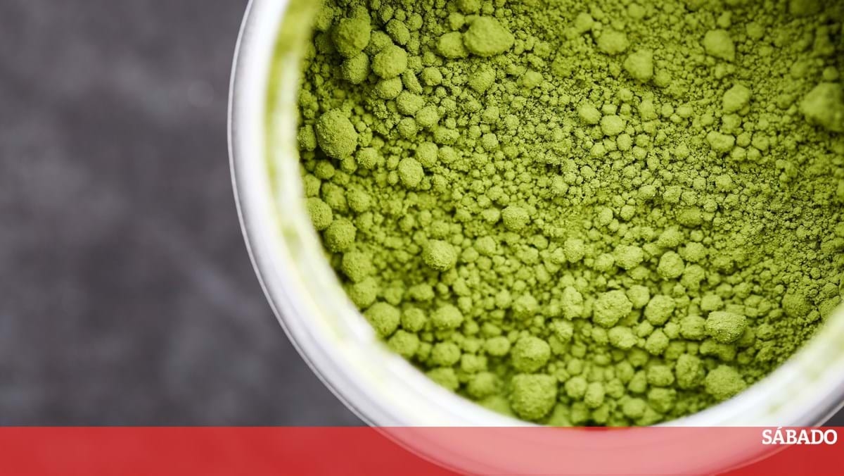 <![CDATA[ Matcha ou café: qual a escolha mais saudável?  ]]>