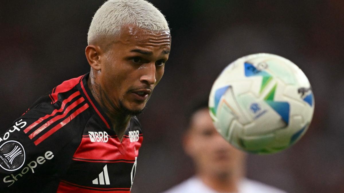 Juve will Wesley, Flamengo legt den Preis fest: die Verhandlungen und Comollis Pläne für die Flanken
