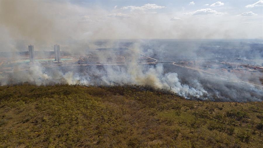 W 2024 roku brazylijska Amazonia odnotowała największy obszar spalonych gruntów w ciągu ostatnich czterdziestu lat.