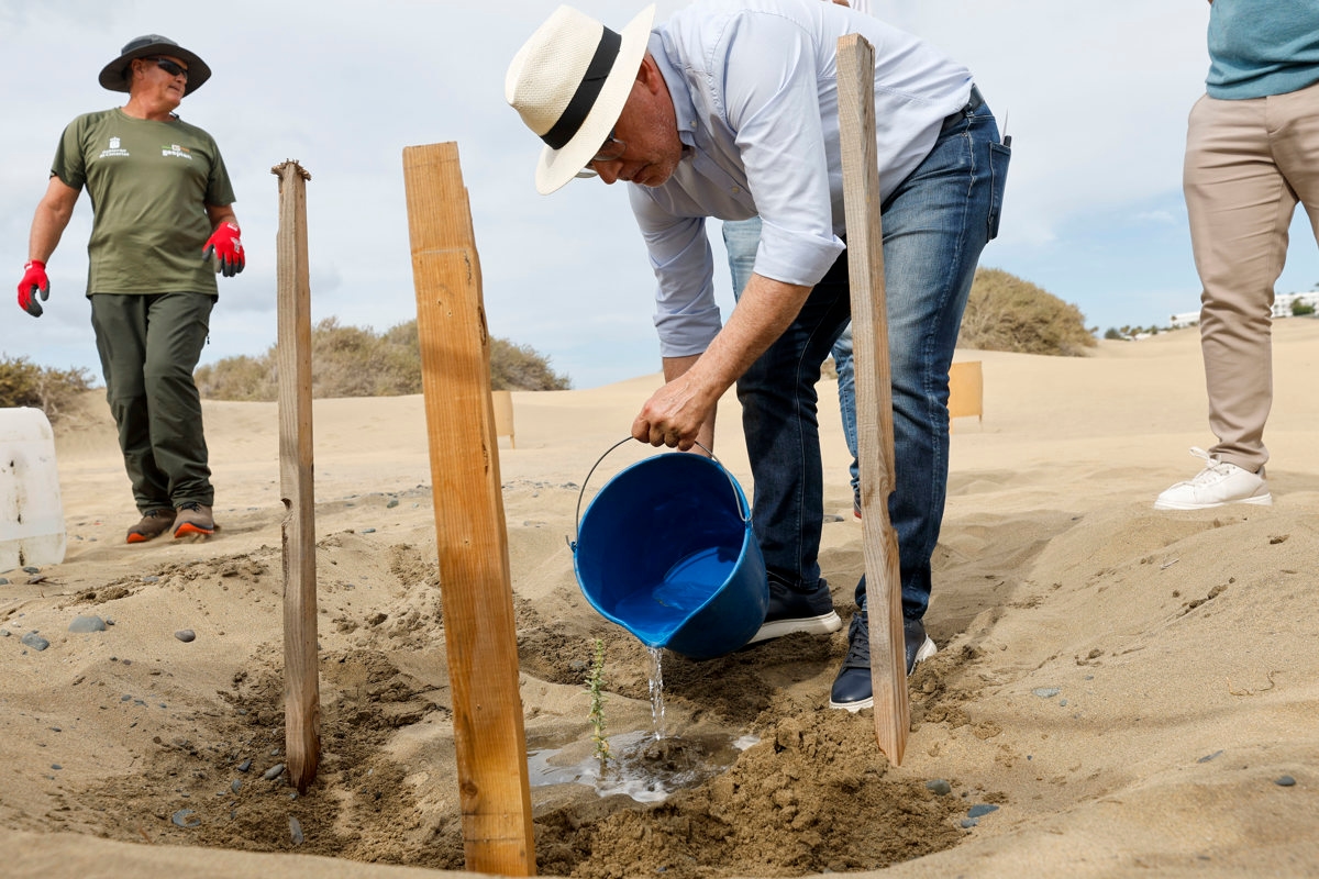La recuperación de las Dunas de Maspalomas, un ejemplo para países como Cabo Verde