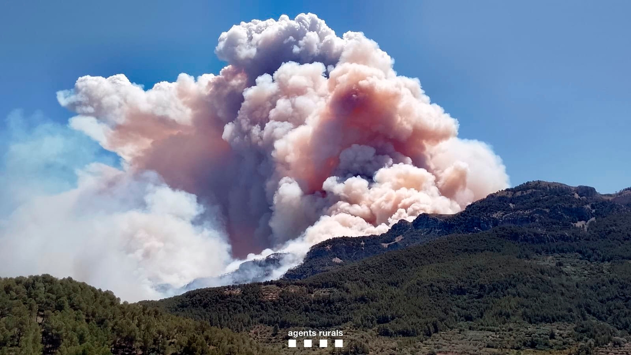 Perché gli incendi boschivi nelle aree protette bruciano più di altri?