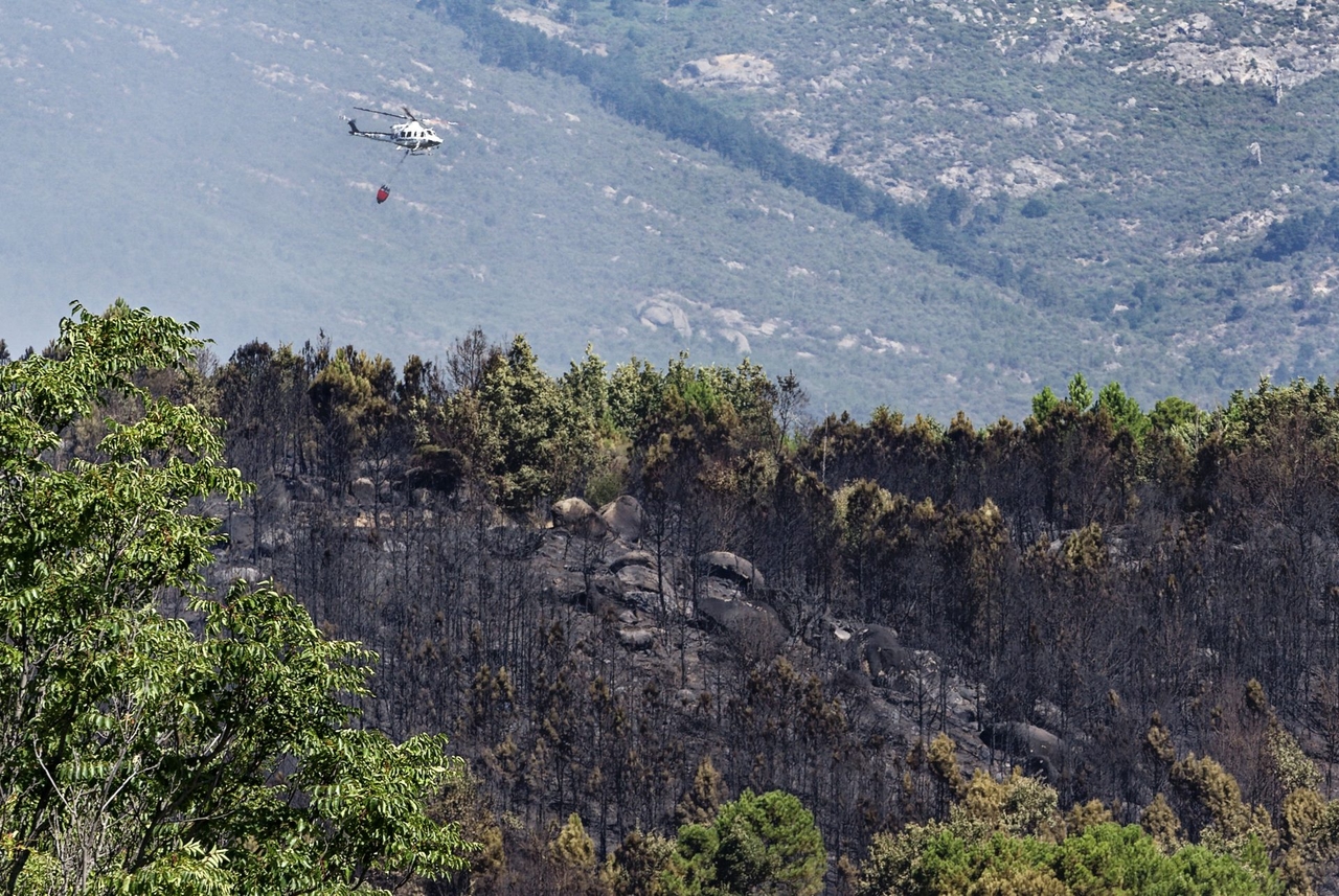 O avanço do fogo em direção a El Arenal (Ávila) obriga seus moradores a se isolarem devido à fumaça.