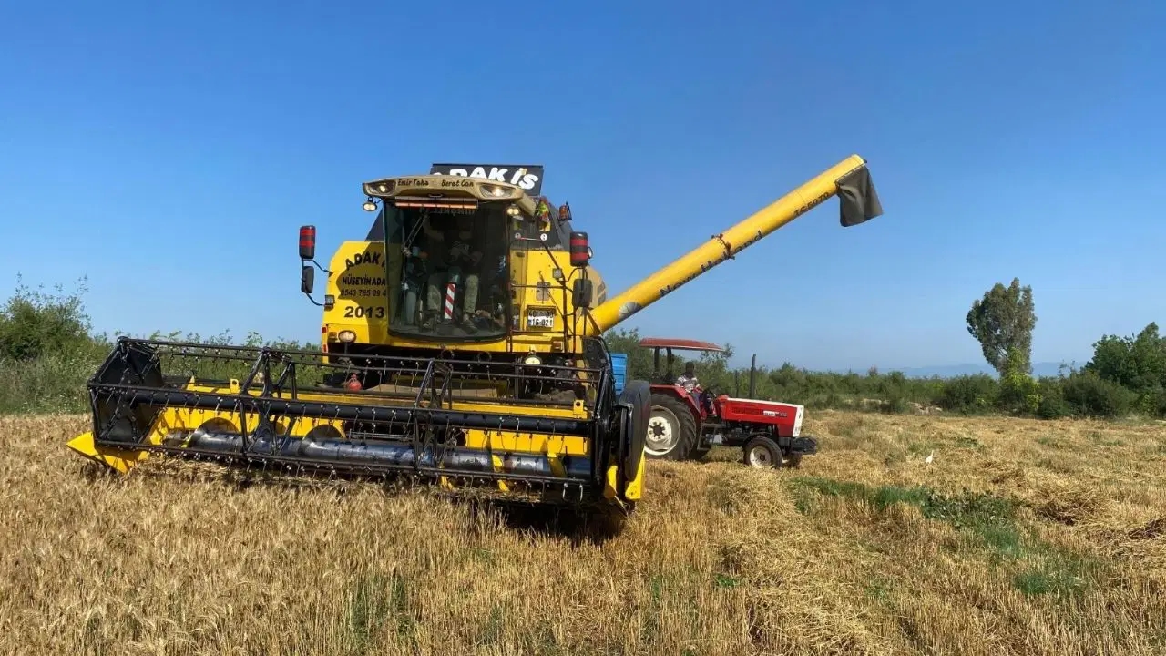 La sécheresse retarde les récoltes : les rendements doublent dans les terres irriguées