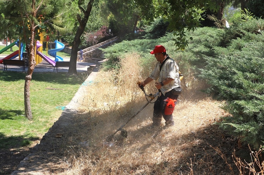 Decisive fight against weeds in Menderes