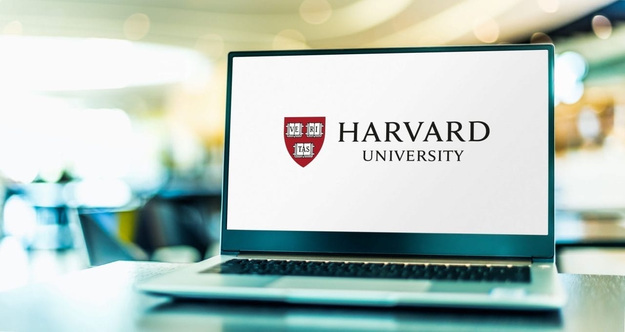 Kostenlos lernen im Jahr 2025: Online-Kurse von Harvard, Google, der UN und anderen kostenlos verfügbar