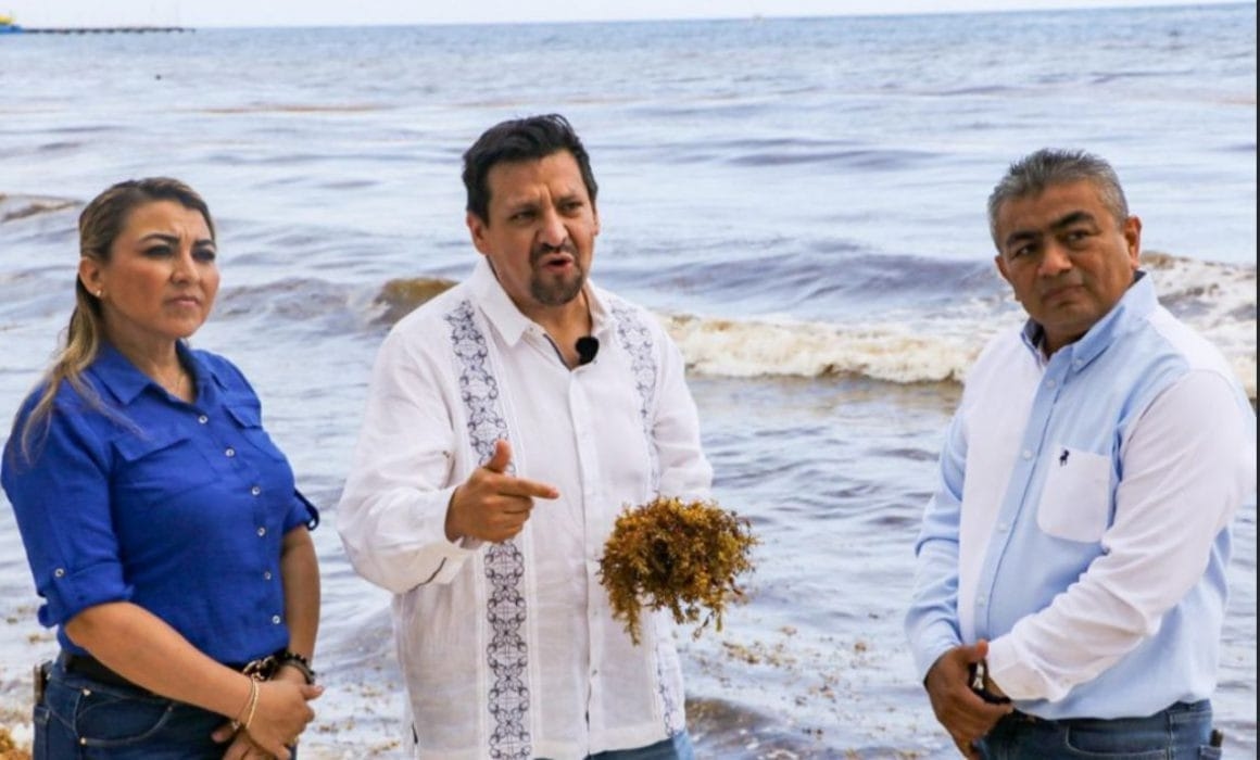 PAN schlägt einen Bundesfonds zur Bekämpfung von Sargassum in der Karibik in San Lázaro vor