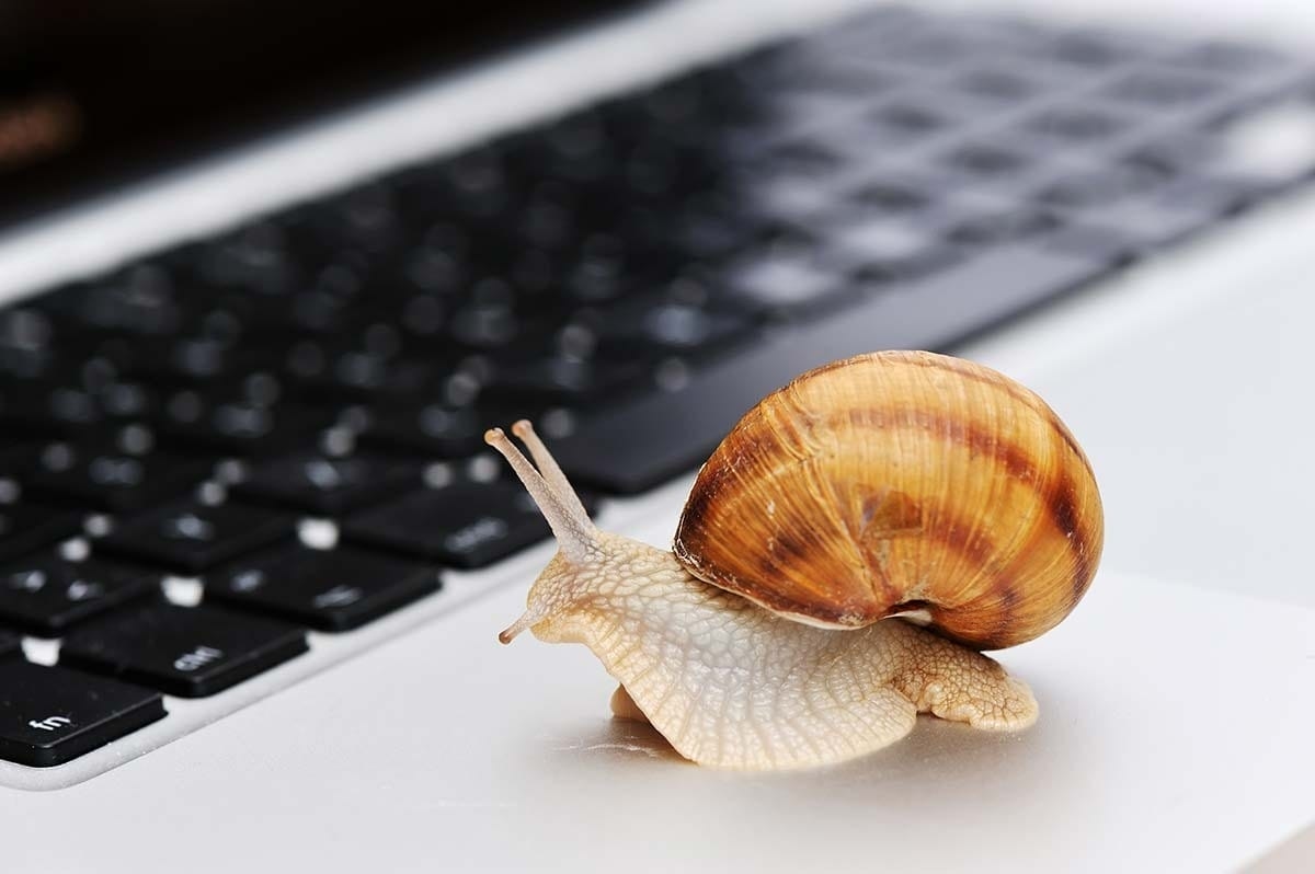 Windows 11 Güncelleştirmesinden Sonra Yavaş PC: 5 Adımlı Çözüm
